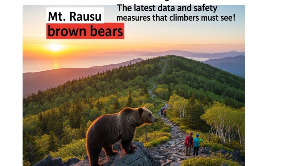 羅臼岳ヒグマの遭遇率や危険度は？登山者必見の最新データと安全対策！