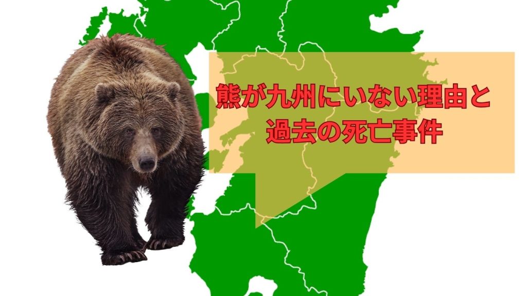 タイトル「熊出没マップ九州2025版は？熊が九州にいない理由と過去の死亡事件」のアイキャッチ画像